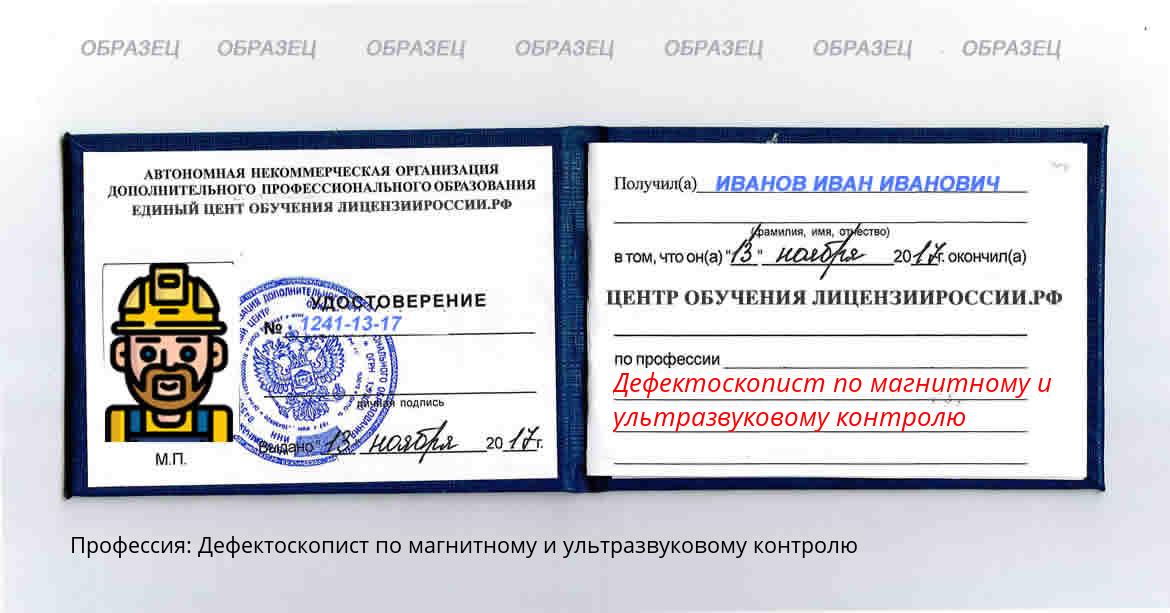 Дефектоскопист по магнитному и ультразвуковому контролю Николаевск-на-Амуре